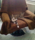 June Svg+xml,%3Csvg%20xmlns%3D%22http%3A%2F%2Fwww.w3